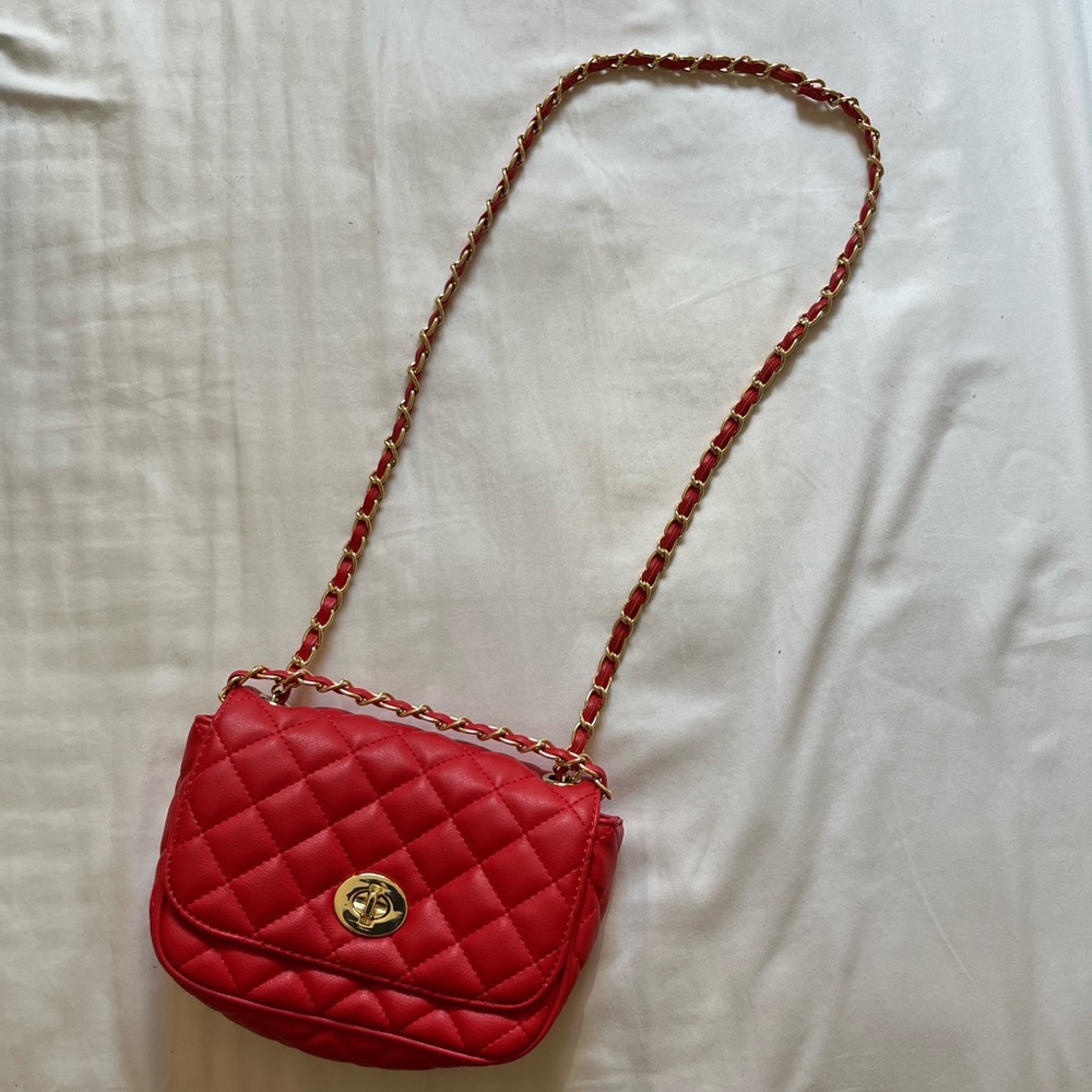 ALDO crossbody bag